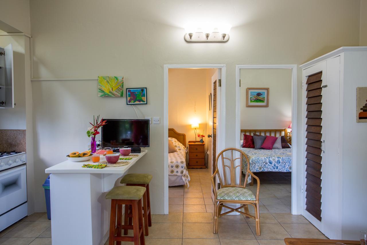 Smithy'S Eco-Apartment Morne Jaloux Ridge Экстерьер фото